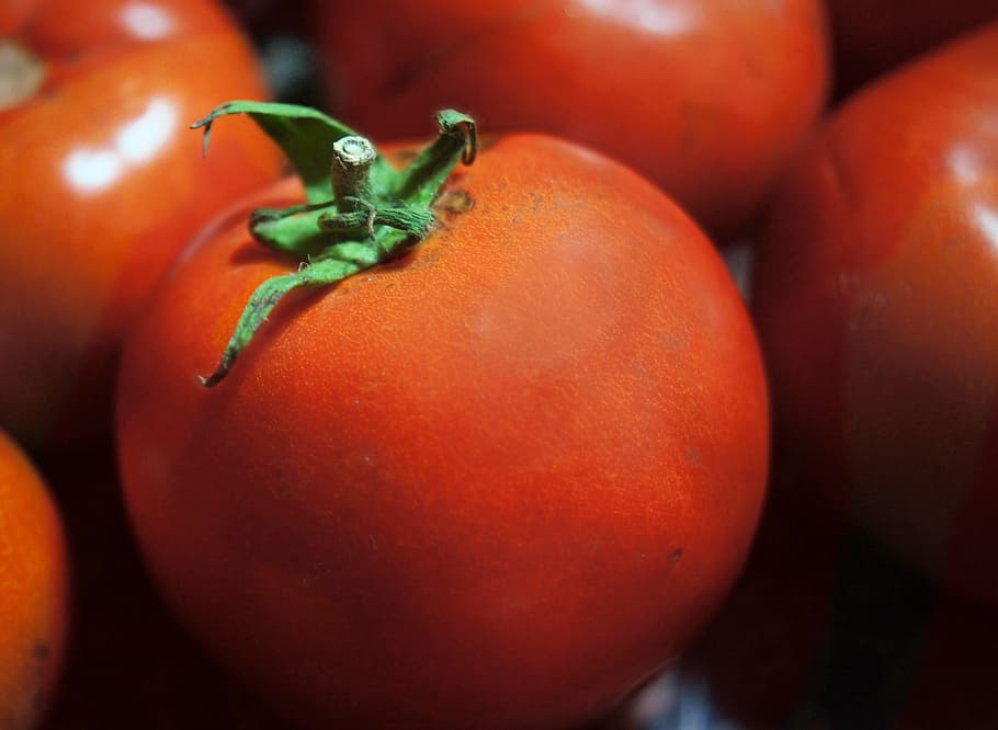 Tomato, Vegetable, Fresh, Dinner, red, diet, food, healthy HD wallpaper