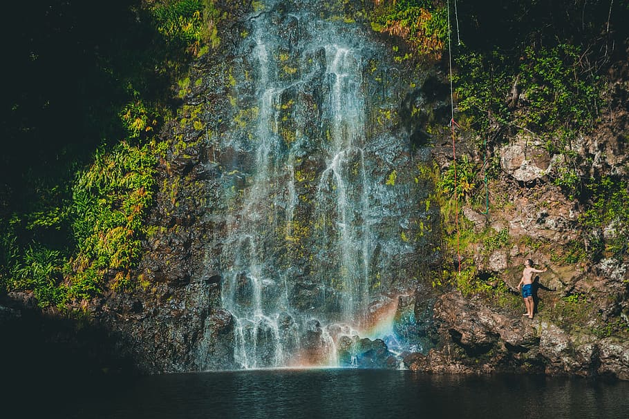 waterfall, green, grass, moss, tree, plant, nature, people HD wallpaper