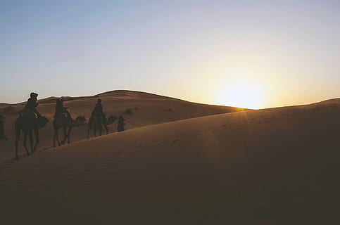 three people riding camels on dessert during daytime, desert HD wallpaper