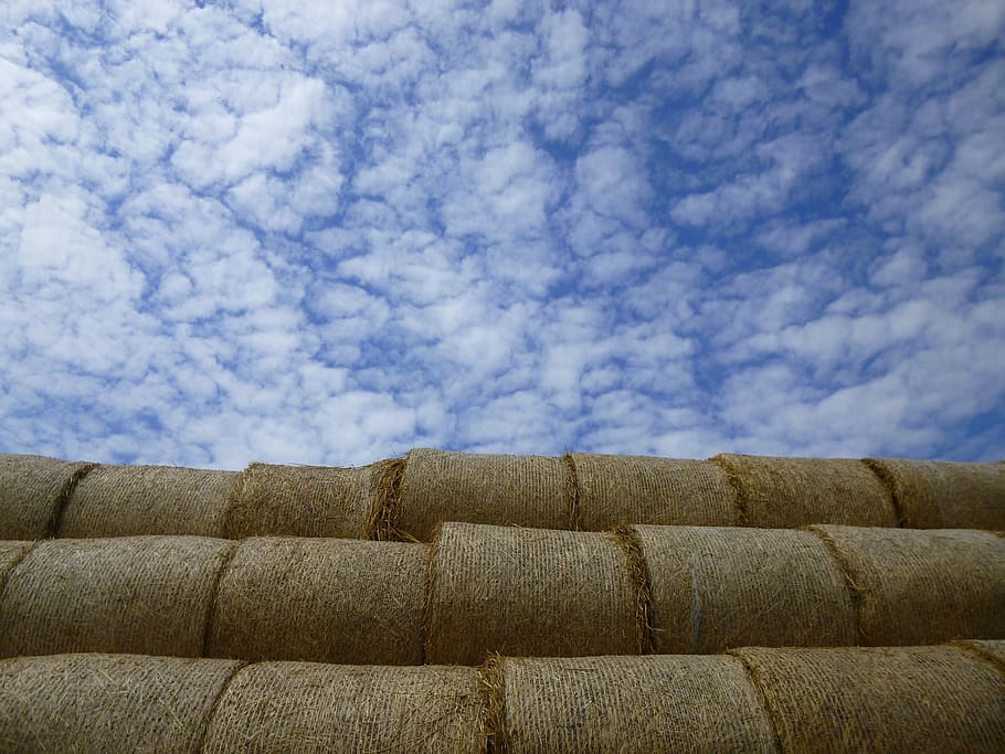 cloud, straw bale, tanya, summer, blue, clouds, sky, cloud - sky HD wallpaper