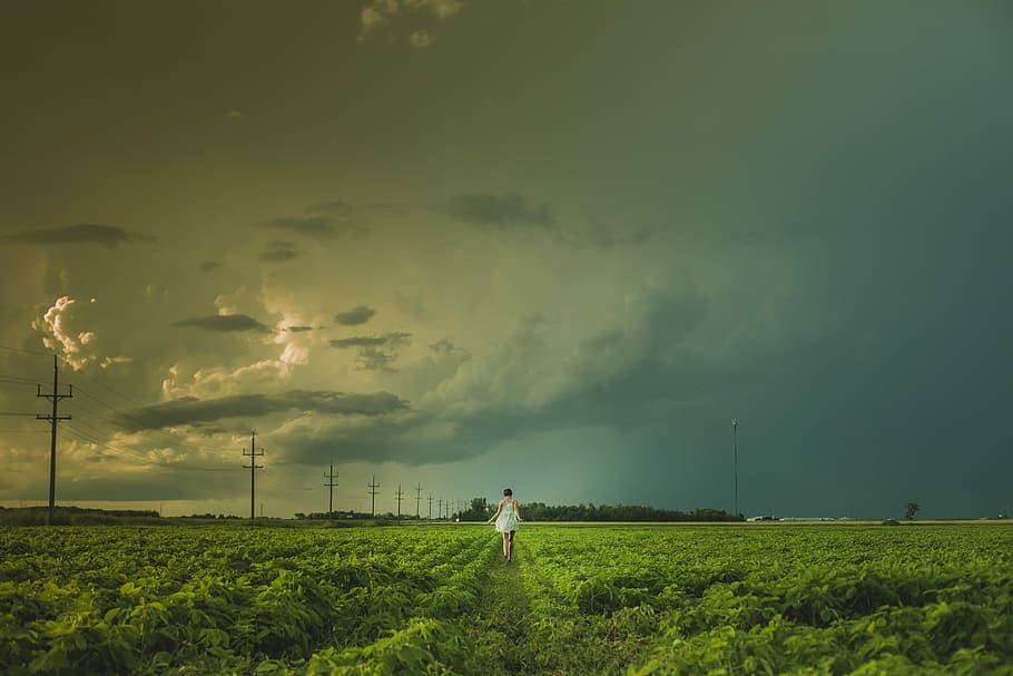 person walking near electric post under cloudy sky, woman walking on green grass field HD wallpaper