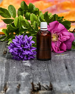 purple and pink petal flower beside the brown and white glass bottle on gray surface HD wallpaper
