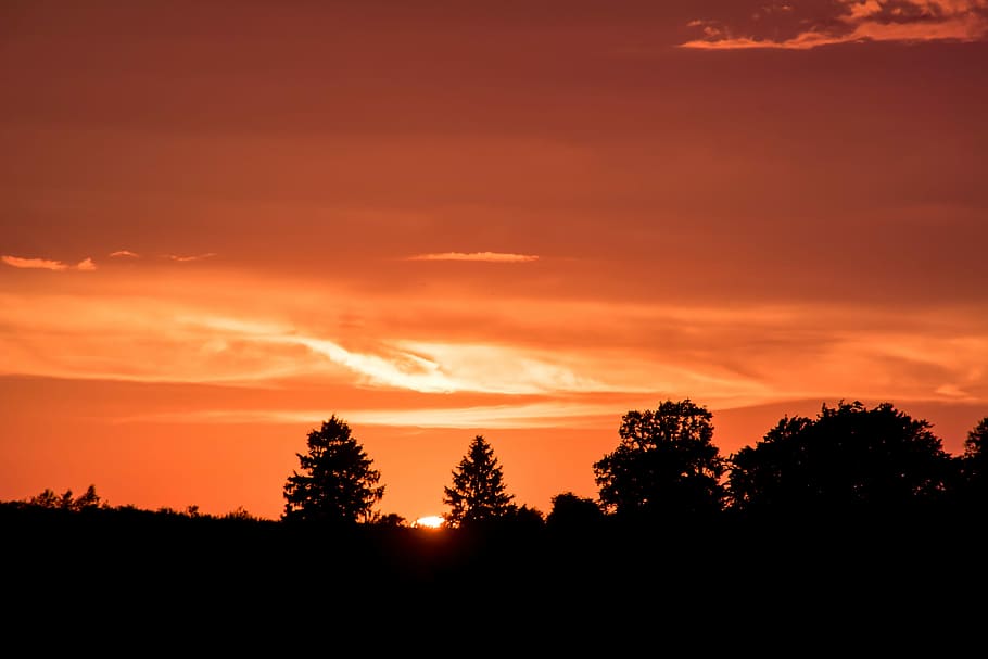 silhouette of trees during golden hour, Sunset, Setting Sun HD wallpaper