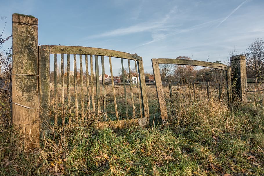 leinemasch, laatzen, fence, sky, grass, nature, landscape, summer, HD wallpaper