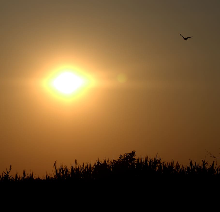 sunset, sky, landscape, shine, beauty in nature, scenics - nature HD wallpaper