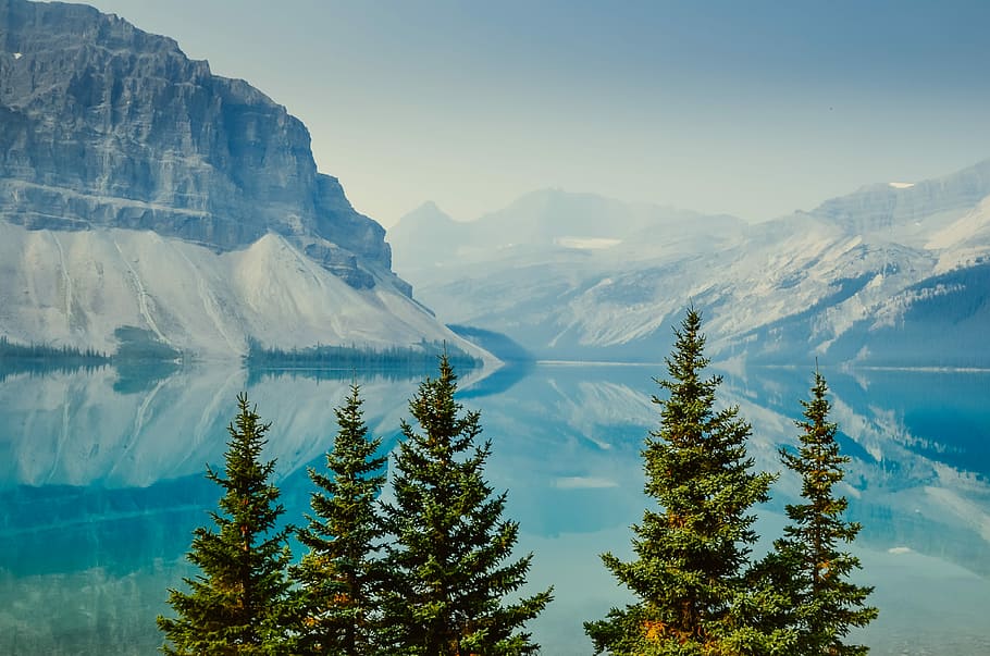 pine trees near body of water leading to mountains during daytime, pine trees beside sea and mountains covered with snow HD wallpaper
