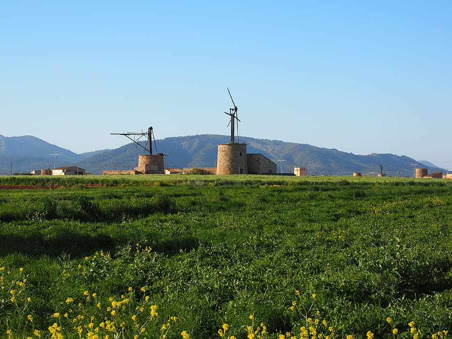 Windmill, Old, Lapsed, Ruin, Mallorca, muro, wind energy, wing HD wallpaper