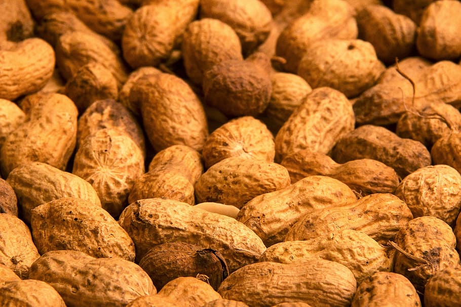 peanut, peanuts, dried fruit, doré, food, eat, picture, food and drink, HD wallpaper