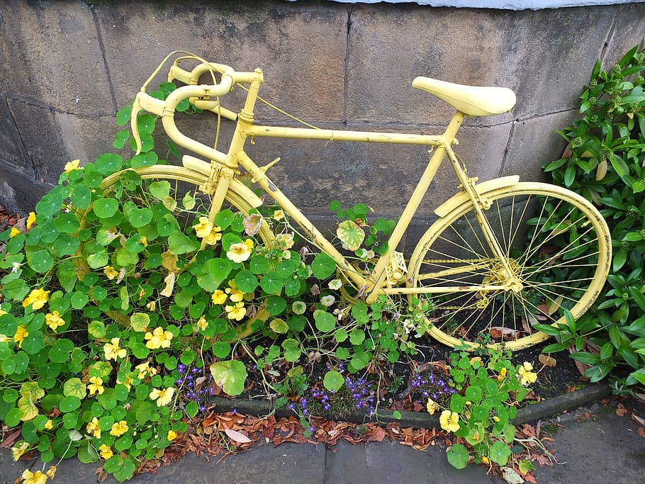 yellow road bicycle leaning on gray wall, old, wheels, bike HD wallpaper