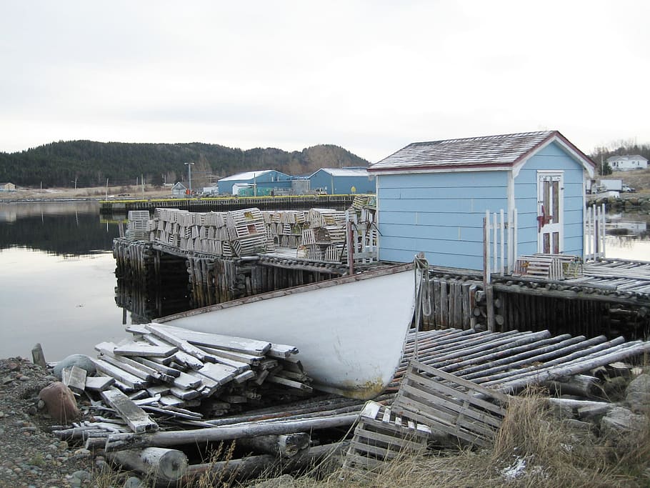 newfoundland-ocean-water-nature.jpg