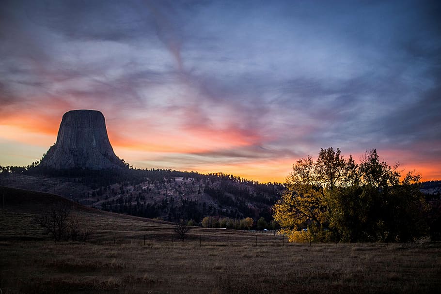 Devil's tower, landscape, fall, color, scenery, nature, tree HD wallpaper