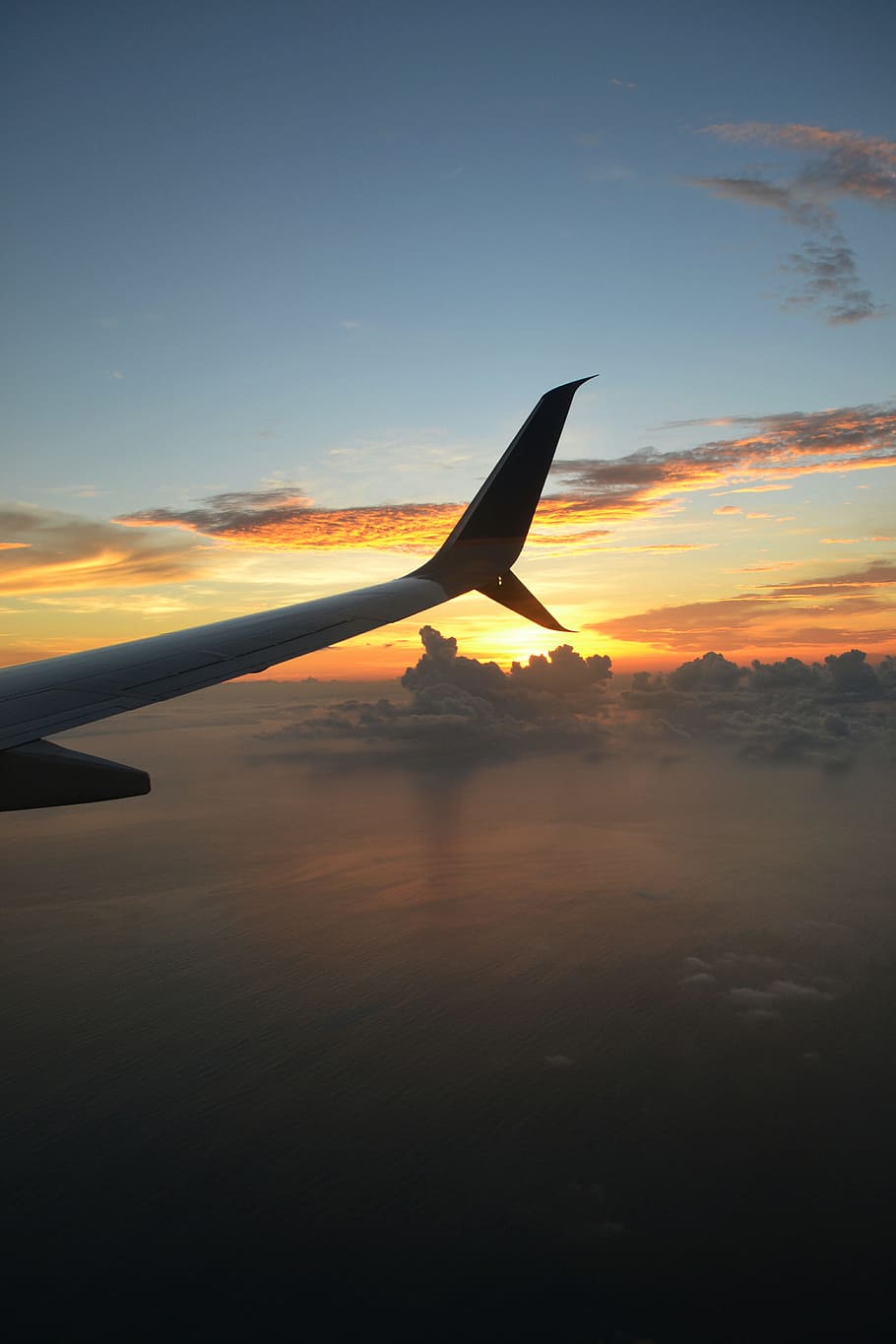 Fly, Plane, Ocean, Water, sky, pacific ocean, dawn, air, height HD wallpaper