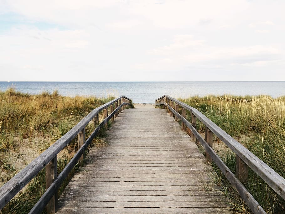 photo of gray wooden bridge, brown wooden board dock during daytime HD wallpaper
