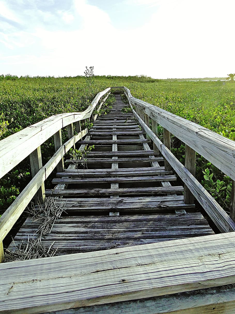 boardwalk, broken, abandoned, dilapidated, wood, wooden, old HD wallpaper