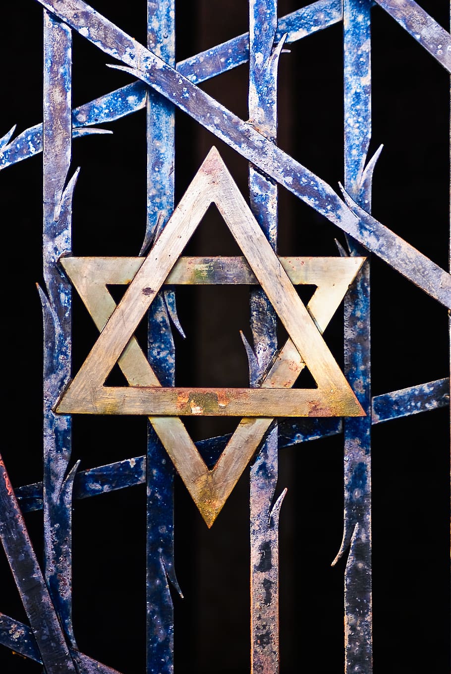 Star Of David Pictures  Download Free Images on Unsplash