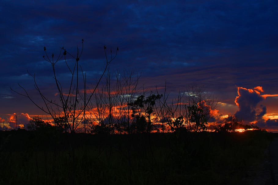view, twilight, the sky, sun, the tree, cloud, the landscape HD wallpaper