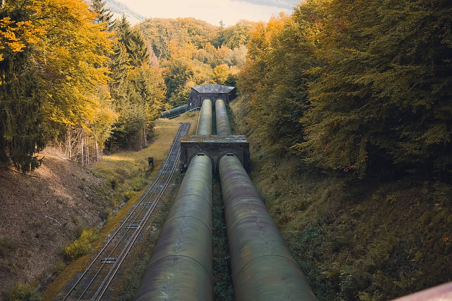 metal pipe between trees at daytime, green and brown tubes, railway HD wallpaper