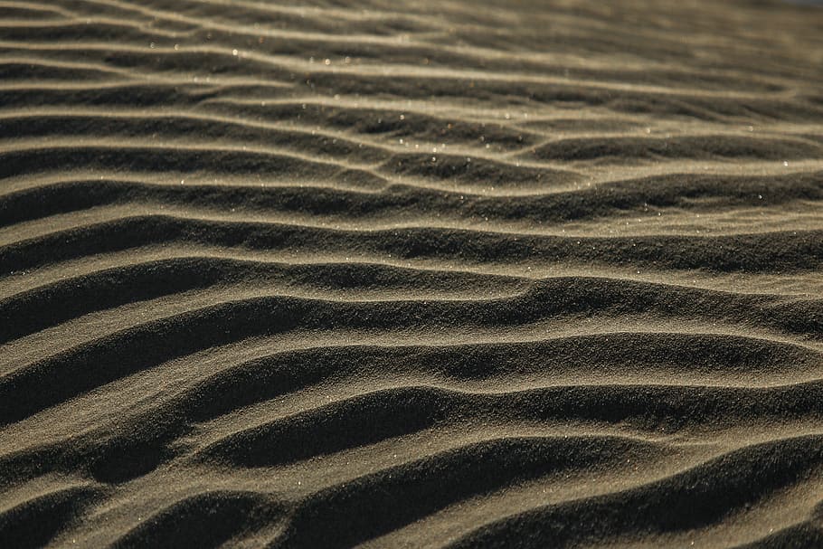 gray sand dunes, sand covered surface, ripple, desert, beach