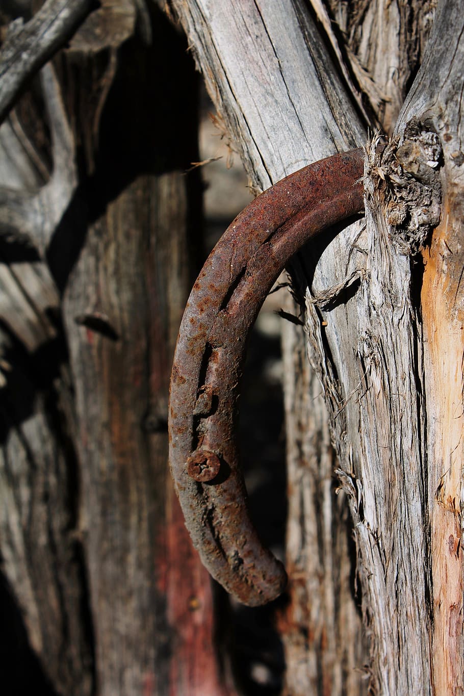 horseshoe, rusted, iron, vintage, antique, western, wooden, HD wallpaper