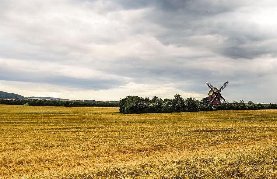 Windmill, Old, Antique, Nostalgia, windräder, field, cornfield HD wallpaper