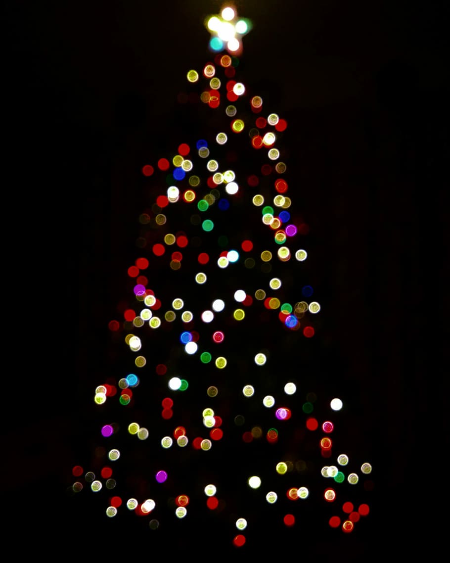 untitled, lights, tree, christmas tree, star, decoration, illuminated HD wallpaper