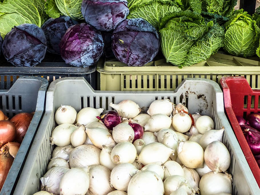 market, onion, cabbage, vegetables, plant, food, autumn, food and drink HD wallpaper