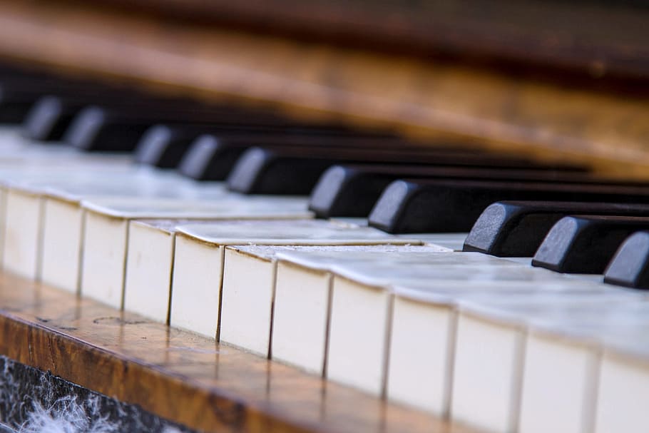 closeup photograph of piano keys, music, piano keyboard, sound HD wallpaper