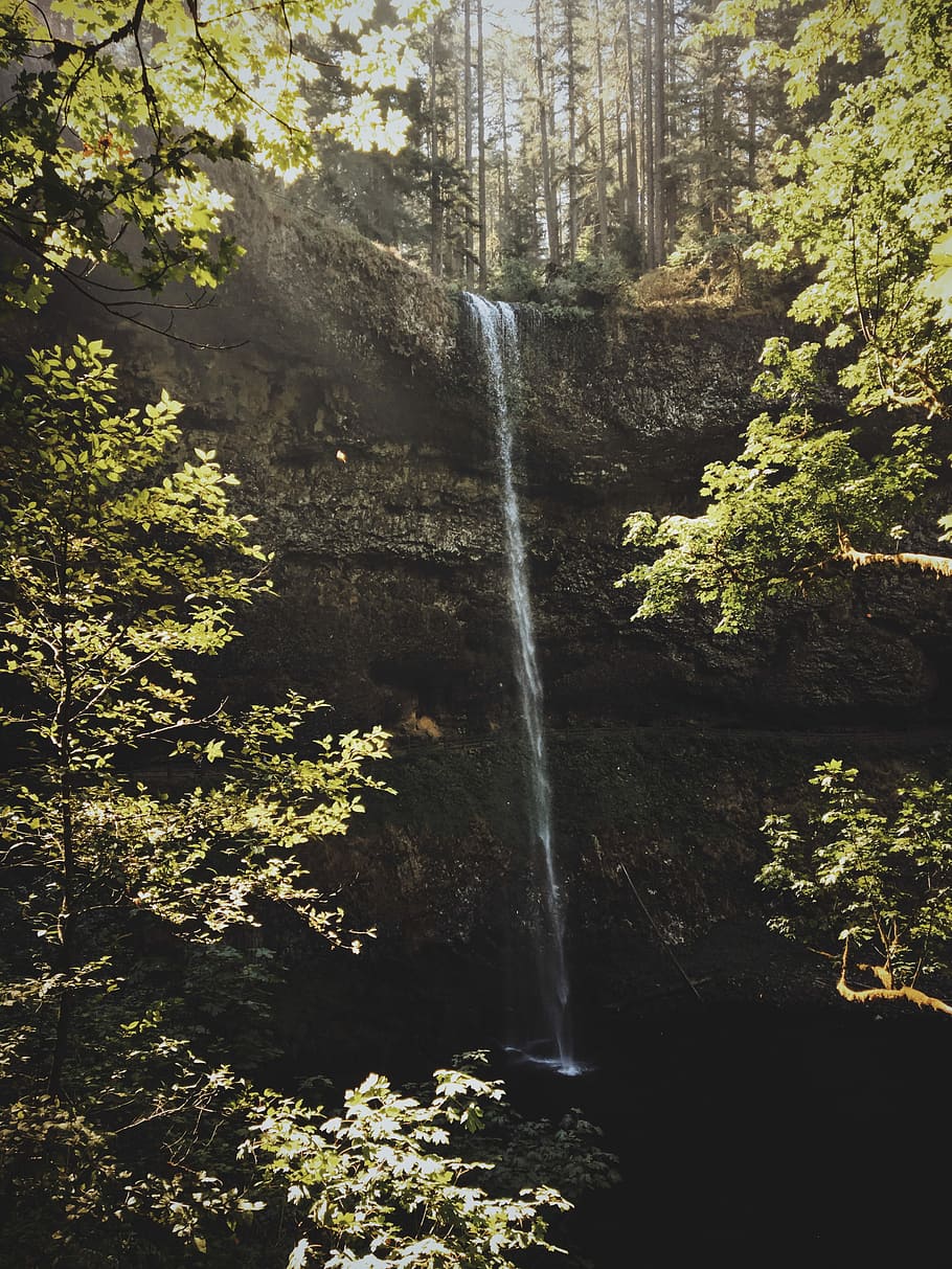 waterfalls surrounded with trees, closeup photography of waterfalls between trees HD wallpaper