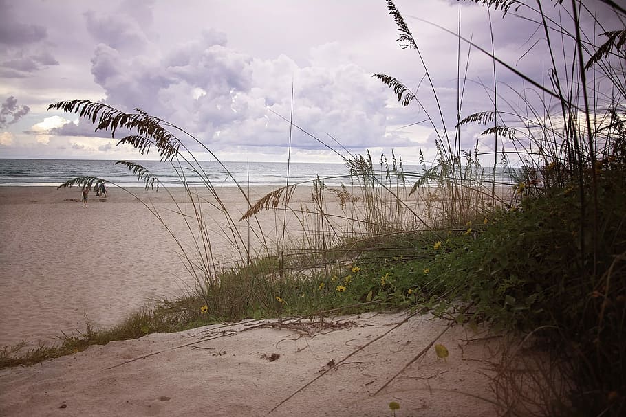 Dune, Sand, Beach, Ocean, Sea, Sea, Coast, seashore, nature HD wallpaper