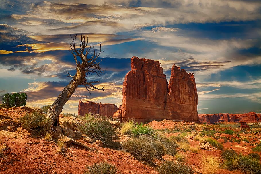 Grand Canyon painting, bryce canyon, usa, national, park, landscape, HD wallpaper