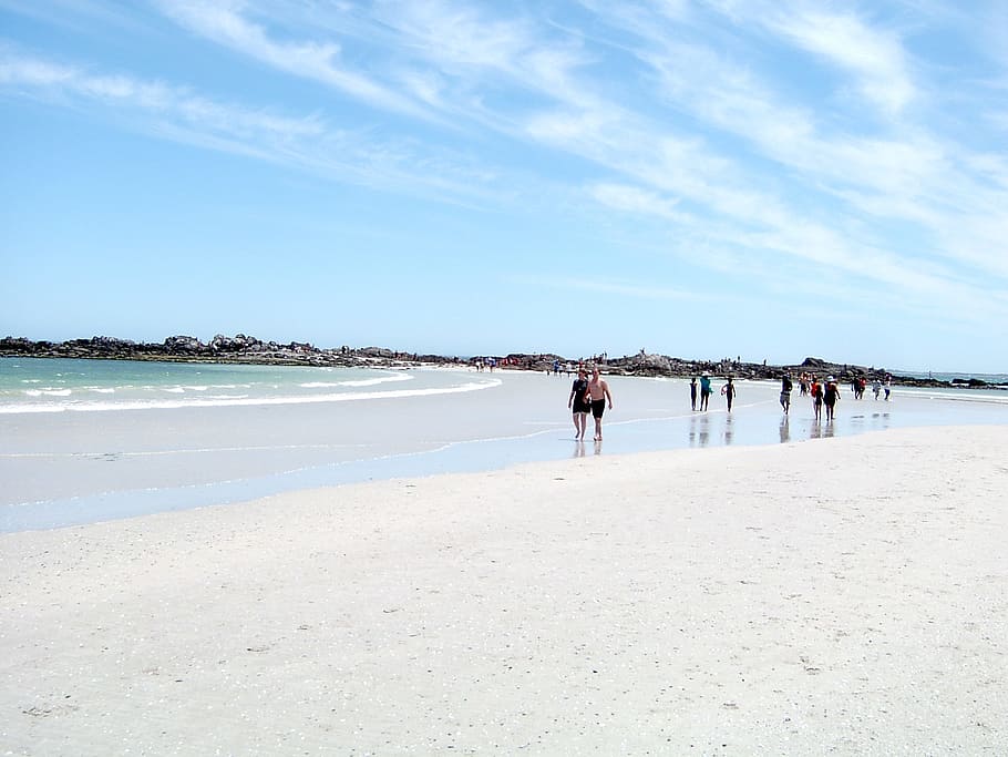 group of people walking on the seashore, Cape Town, Beach, Sand HD wallpaper