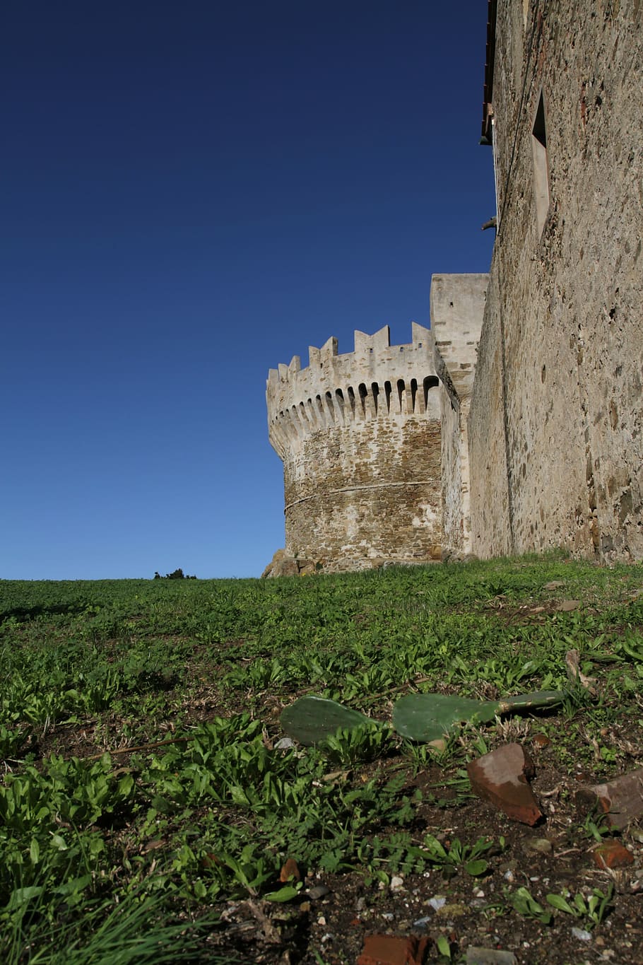 Castle, Castles, Torre, Ruins, Landscape, fort, history, tower HD wallpaper