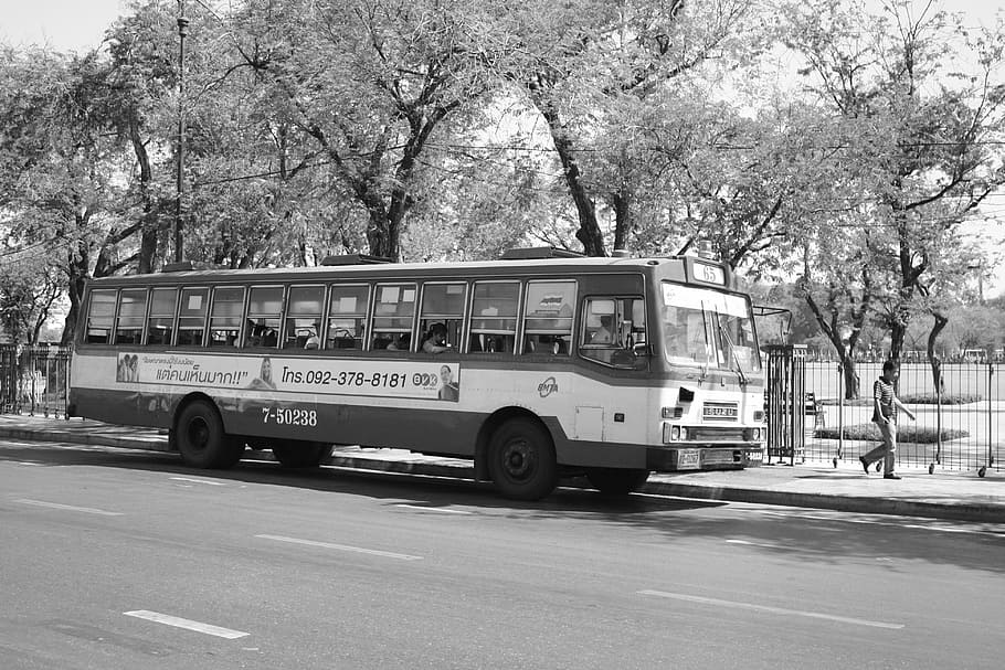 bus, black, white, transport, transportation, road, drive, mode of transportation HD wallpaper