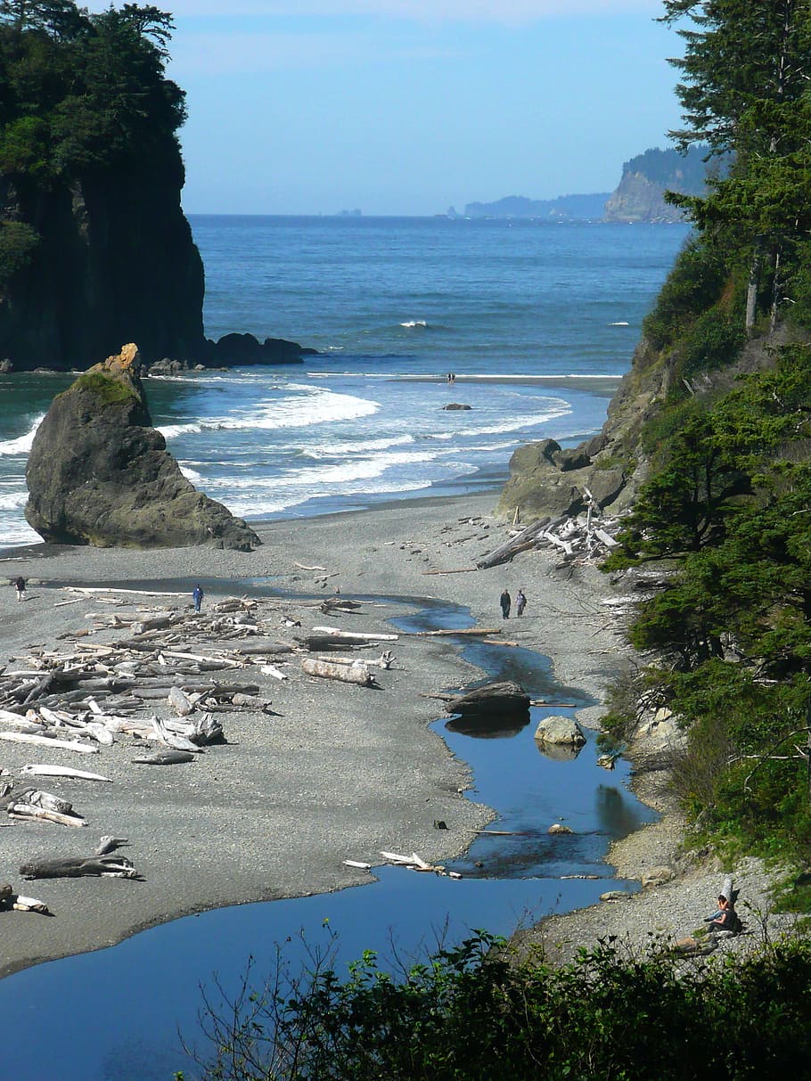Ruby, Beach, Beach, Washington, Usa, Landscape, shoreline, pacific HD wallpaper