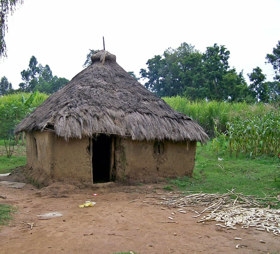 hut, kenya, africa, clay, primitive, architecture, tribe, rural Scene