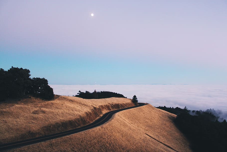 sky, horizon, path, road, highland, landscape, tree, nature HD wallpaper