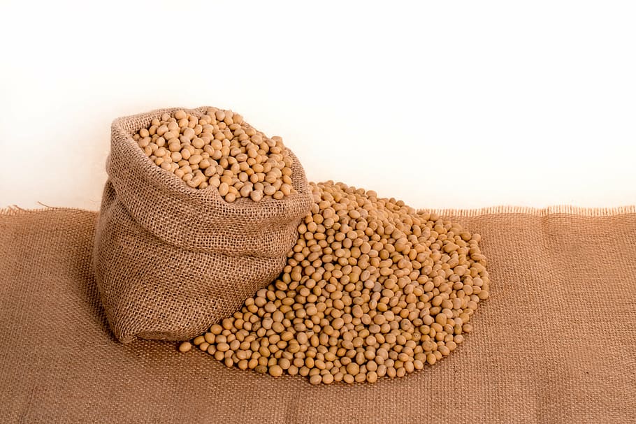 feed with sack, soybeans, plants, seeds, bag, burlap, grain, oil