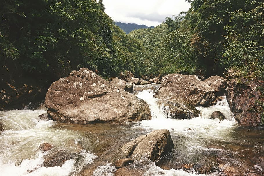 wild, river, water, nature, stream, cascade, rapids, foam, white HD wallpaper