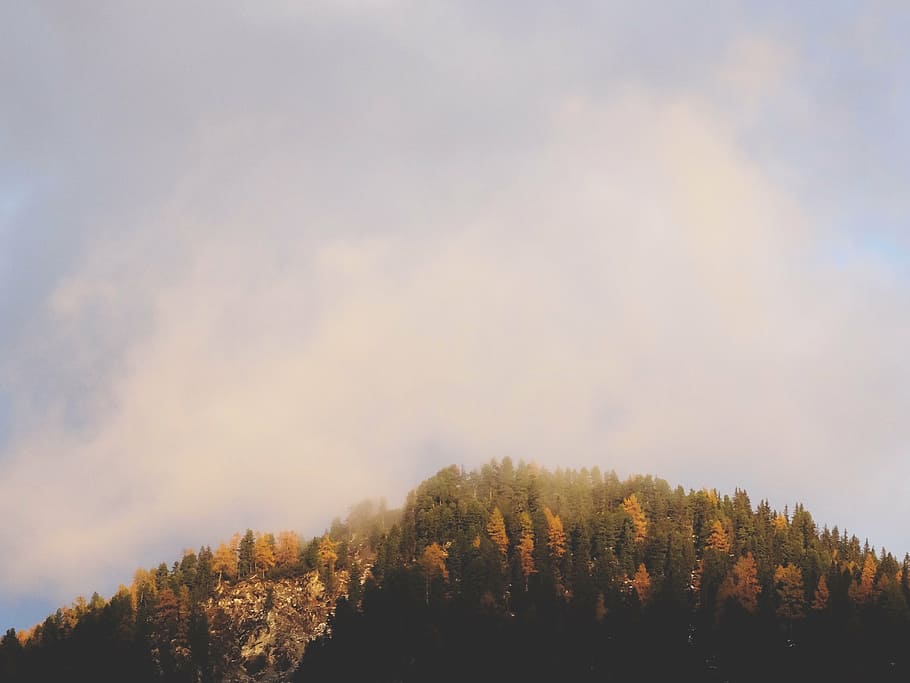 green and brown trees on hill under white cloudy sky, photo HD wallpaper