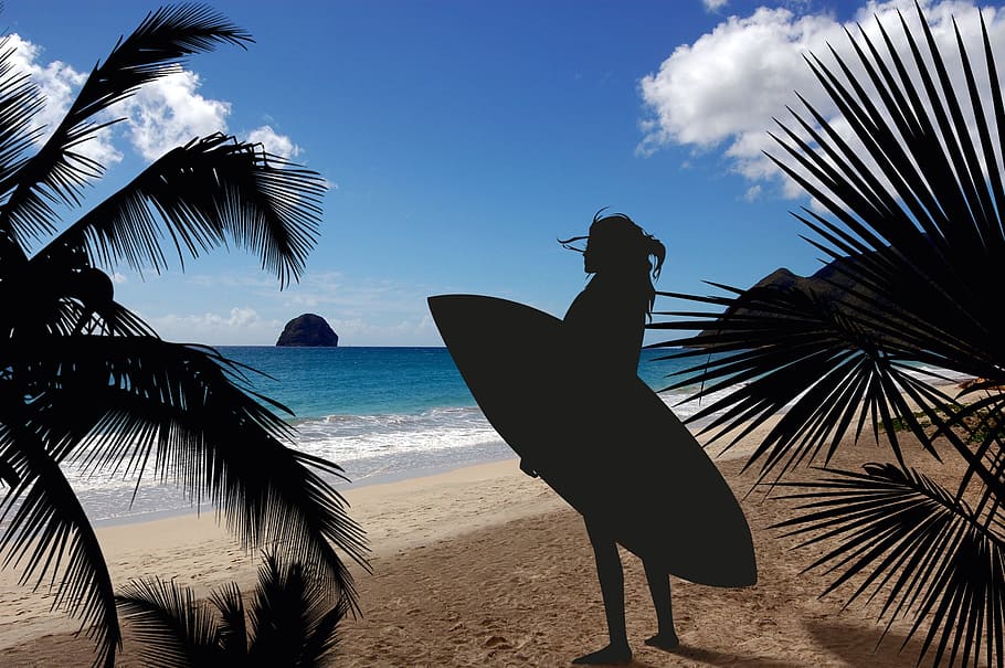 silhouette of person holding surfboard illustration, surfer HD wallpaper