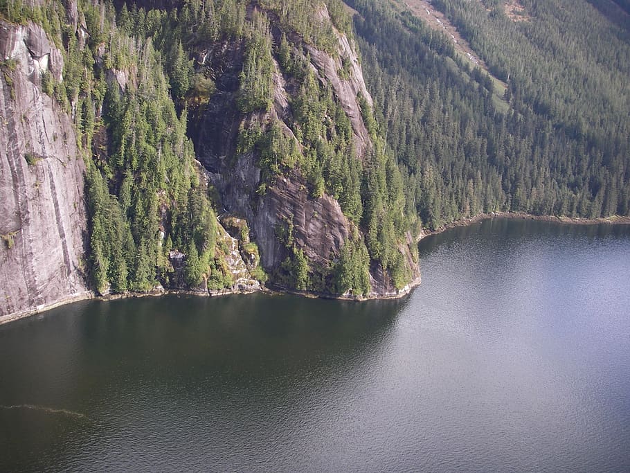 river, mountain, forest, vegetation, conifer, gorge, steep HD wallpaper