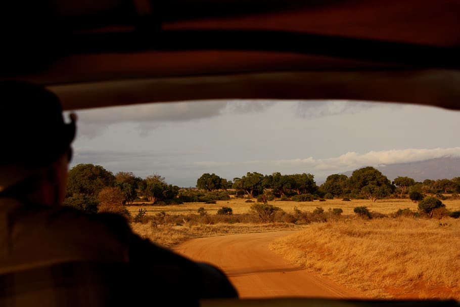 Man, Safari, Window, Landscape, trip, kenya, mombasa, truck HD wallpaper