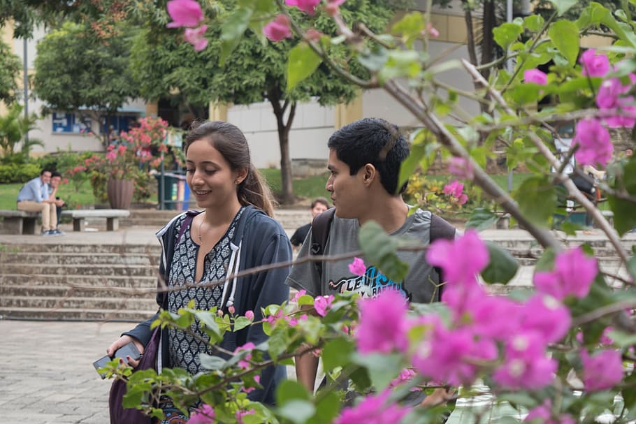 flores, estudiantes, campus, students, flowers, flowering plant HD wallpaper