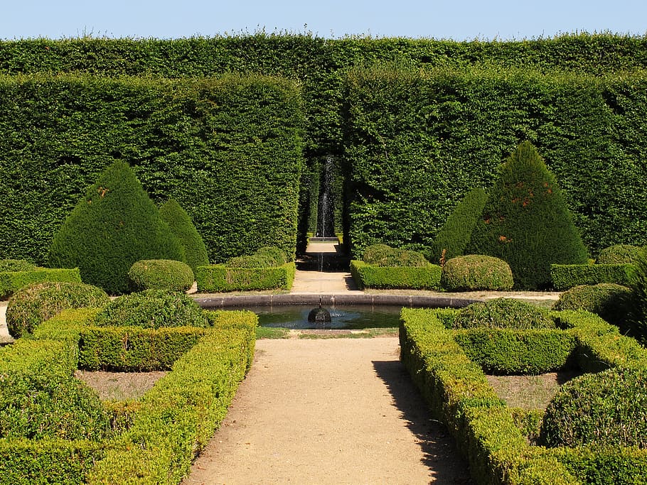 green leafed plants, garden, french, castle, boxwood, beech, hedges, HD wallpaper