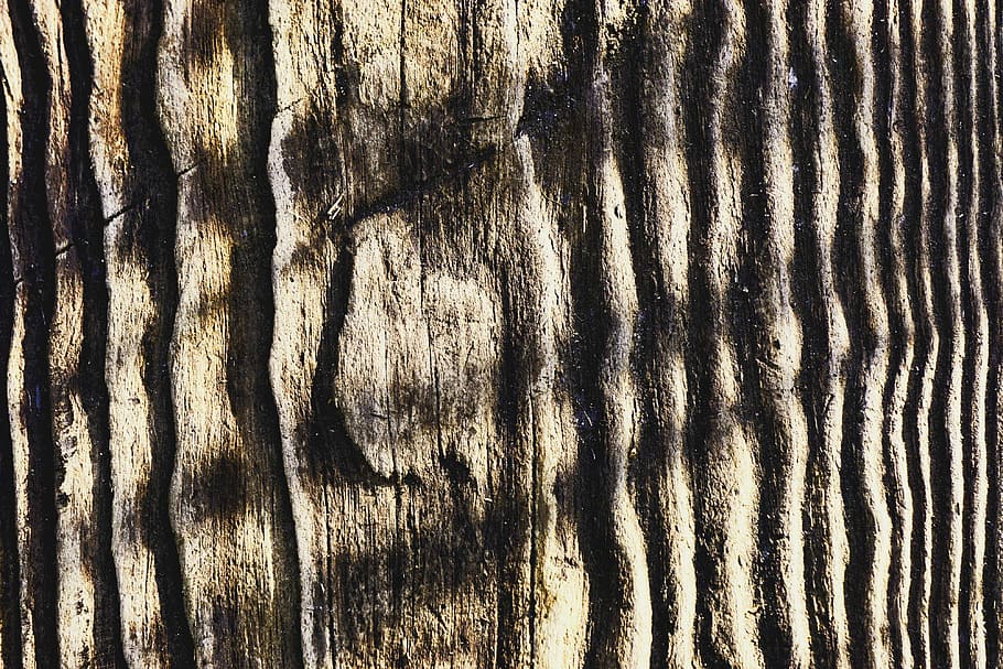 Wood, Structure, Background, Grain, Old, texture, wood texture HD wallpaper