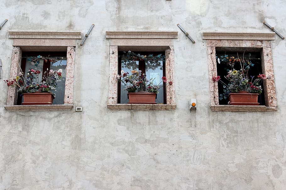 window, old, old window, facade, historically, weathered, wood HD wallpaper