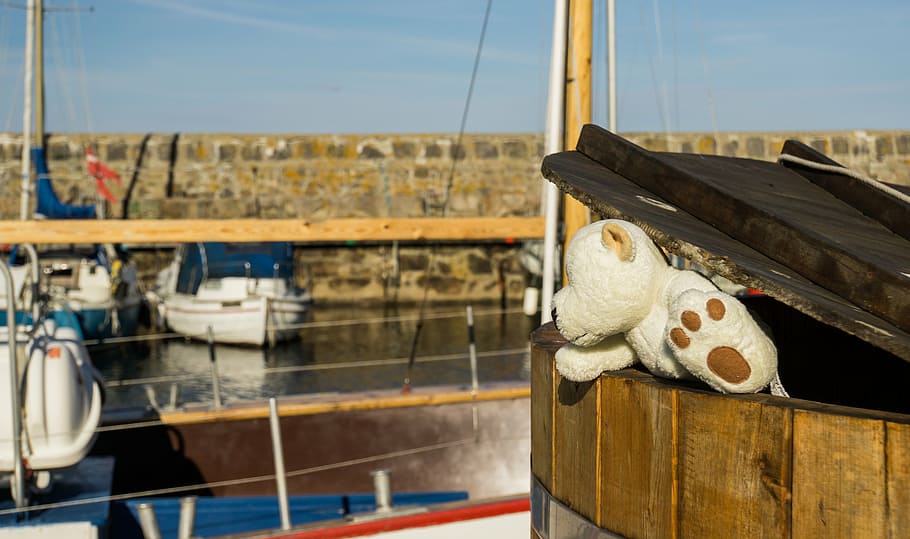 bear, bears, funny, holiday, white, cute, plush, barrel, coast HD wallpaper