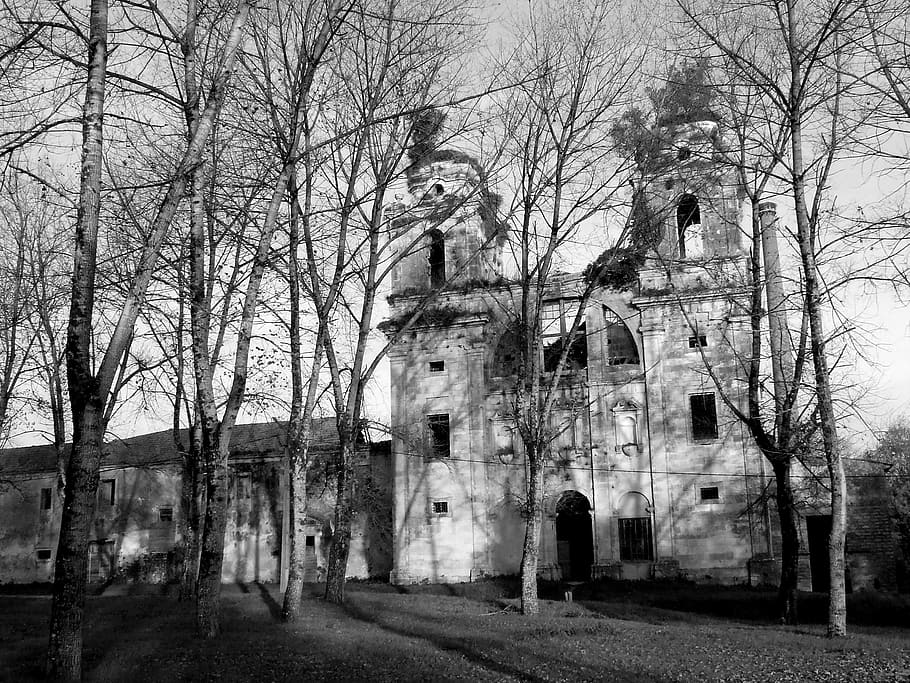 monastery, abandoned, monument, tree, architecture, bare tree HD wallpaper