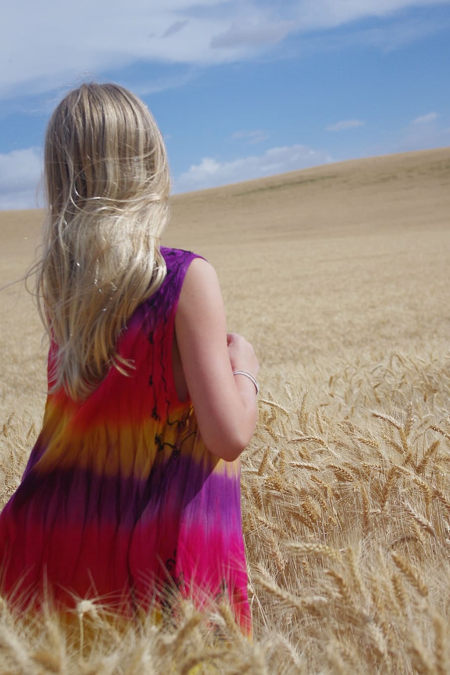 wheat, field, blue, golden, girl, blonde, crop, land, one person HD wallpaper