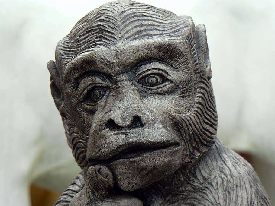 thailand, divinity, hanuman, monkey, statue, sculpture, art and craft HD wallpaper